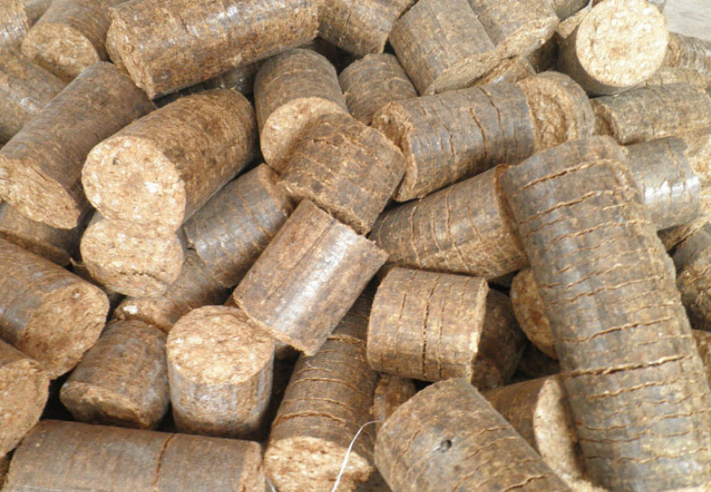Goa Energy Development Agency Invites Bids for Setting up a Biomass Briquetting Project