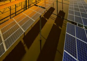 Coal India Invites Bids to Select EPC Contractor for 35 MW Solar Project