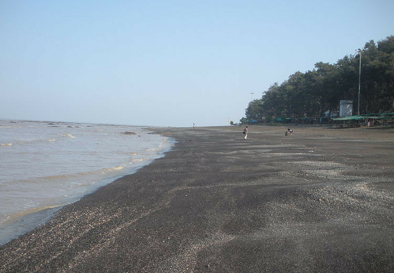 Diu Smart City Becomes First in the Country to Run On 100% Renewable Energy During Daytime
