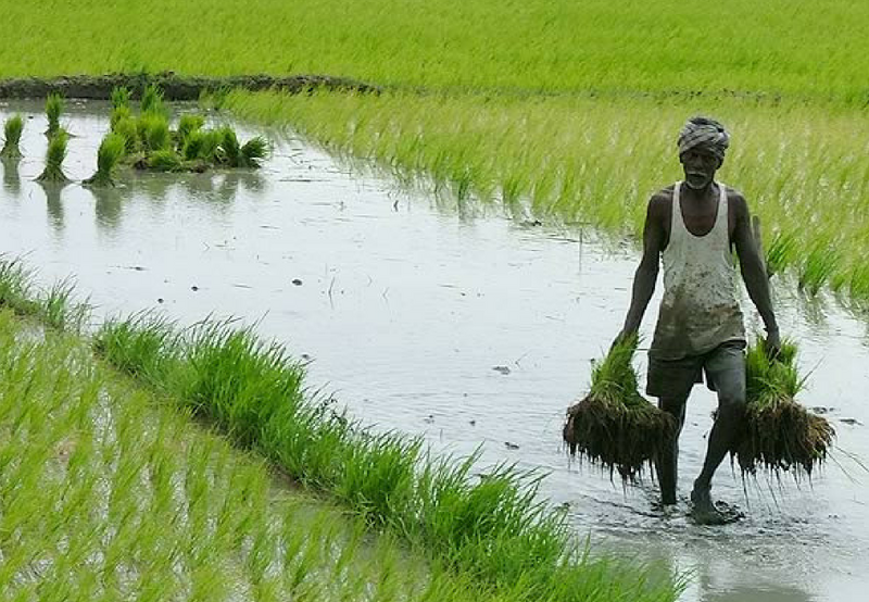 Gujarat to Provide Farmers with Solar Panels to Produce their Own Power