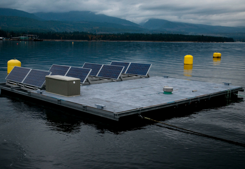 NTPC Issues Fresh Tender for 20 MW Floating Solar at its Gas Power Plant in Uttar Pradesh