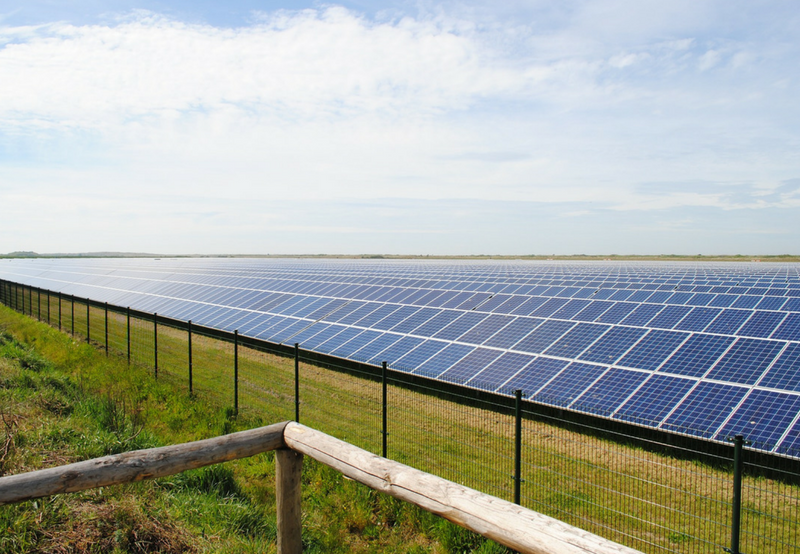 UPNEDA’s 1 GW Solar Tender Oversubscribed by 870 MW