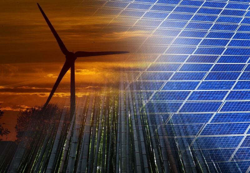 NSEFI Urges RK Singh to Intervene in Andhra Pradesh’s Ongoing Renewable Feud