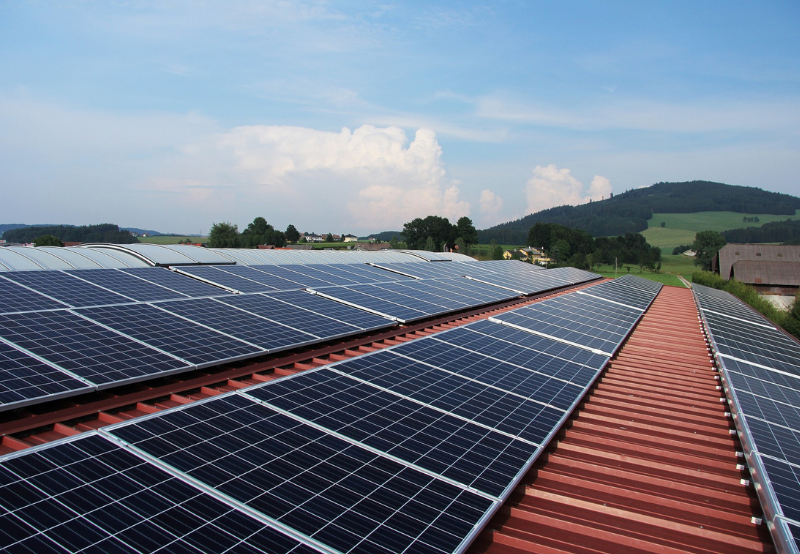 NTPC’s New Tender Calls for 20 MW of Solar Projects in Uttar Pradesh’s Rihand