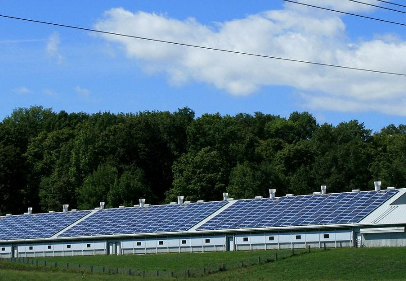 Uttarakhand Announces RfP for 52 MW of Grid-Connected Solar Projects