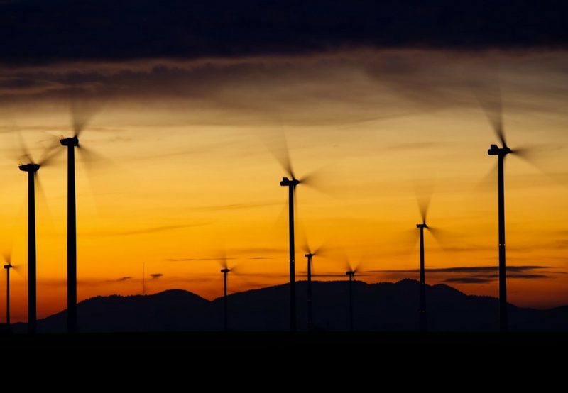 After High Court’s Stay on PPA Revision, Andhra Pradesh Begins Curtailing Wind Power