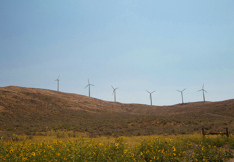 Wind Generators in Rajasthan Face Payment Delays and Non-Renewal of PPAs