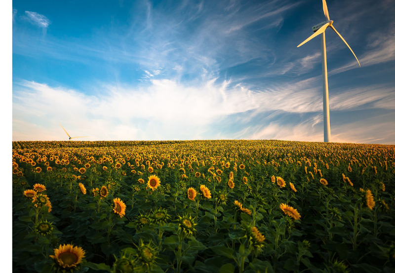 Daily News Wrap-Up_ Global Wind Energy Council Enters India