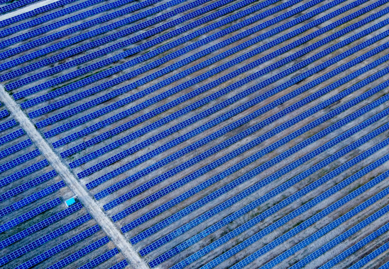 Here Are India’s Solar Market Leaders for 1H of 2020