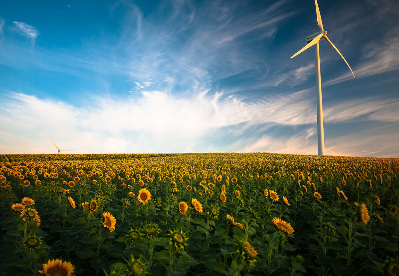 Daily News Wrap-Up_ Philips and Heineken to Sign a Pan-European Green Energy Deal