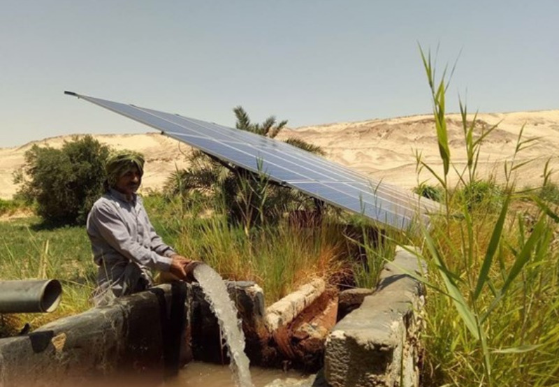 IFC to Help Egyptian Farmers Switch to Solar Irrigation Systems