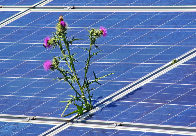Month in a Minute_ Top Headlines from Indian Renewable Sector in November 2020
