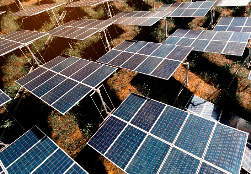 Madhya Pradesh Invites Bids for 100 MW of Solar Projects Under KUSUM Program