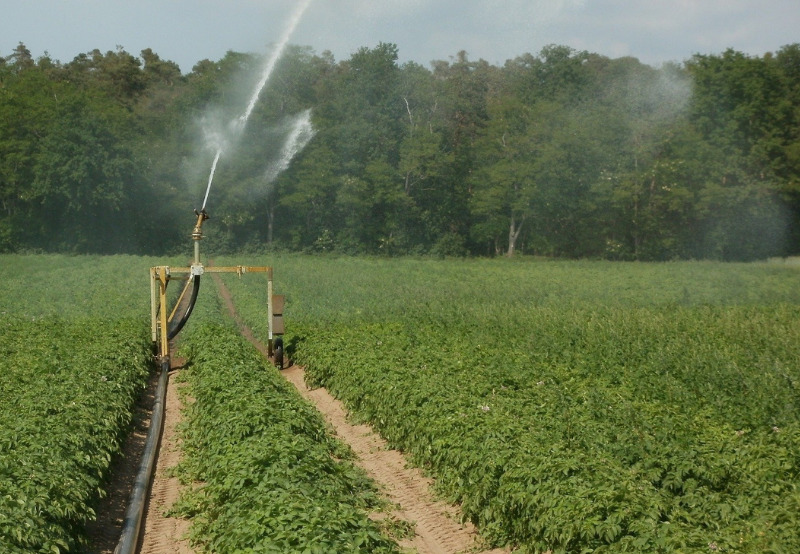 EoI Invited for Feasibility Survey and Inspection of Solar Pumps Under KUSUM Program