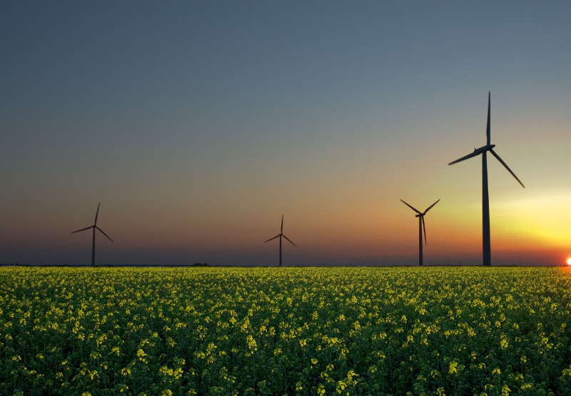 South Korean C&I, Residential Consumers to Buy Renewables as part of RE100 Initiative