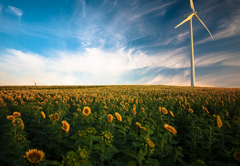 China Installs Record 52 GW of New Wind Capacity, Doubles Annual Installations in 2020