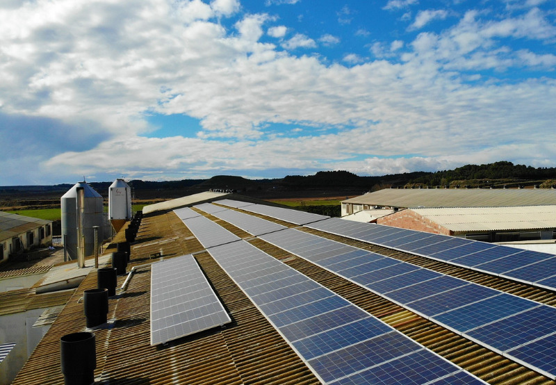 Five Haryana Universities Sign PPA for 3.75 MW of Rooftop Solar at ₹3.33/kWh