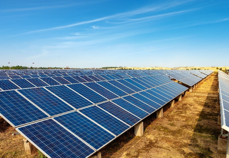 MSEDCL’s 500 MW Solar Tender Receives Robust Response, Oversubscribed by 3.5 GW