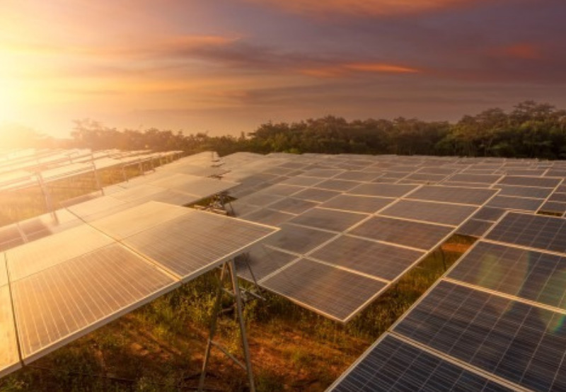Germany Allocates 665 MW of Solar Projects in Latest Auction