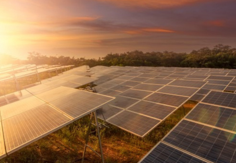 RUMSL’s 550 MW Solar Auction Won by Avaada Energy and O2 Power