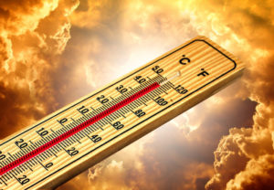About 45% Of EU Firms Have Reported Investments to Fight Climate Change EIB Report