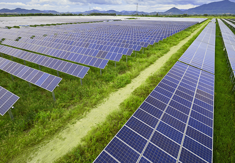 Daily News Wrap-Up: Pfizer to Buy Solar Power From a 310 MW Project in Texas