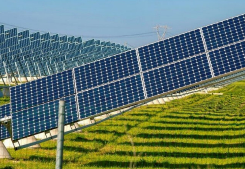 Daily News Wrap-Up: EDF and NTPC to Develop Power Projects Globally