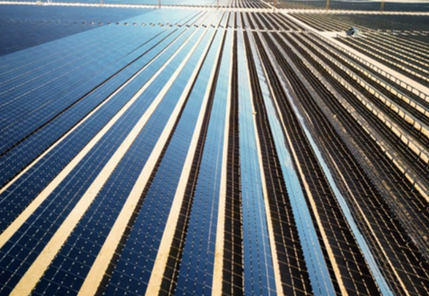 Sterling and Wilson Solar's QoQ Revenue Up 20% in Q2 FY22