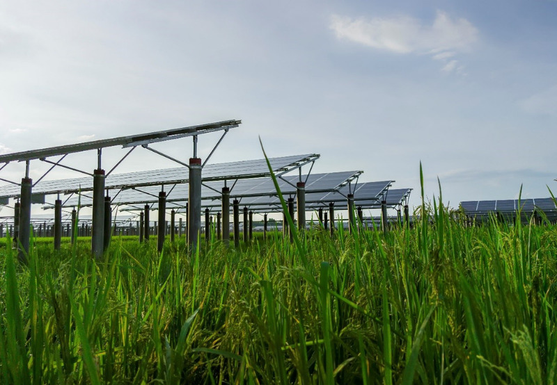 Bids Invited for 445 MW of Solar Projects Under KUSUM Program in Maharashtra