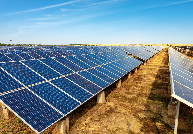 SJVN Tenders Land Procurement for Solar Projects in Himachal Pradesh and Punjab