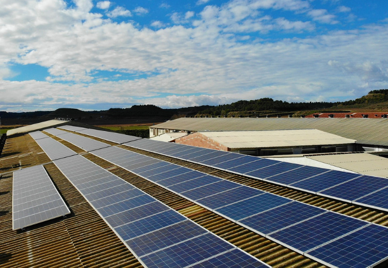 France Announces Rooftop and Ground-Mounted Solar Auction Winners