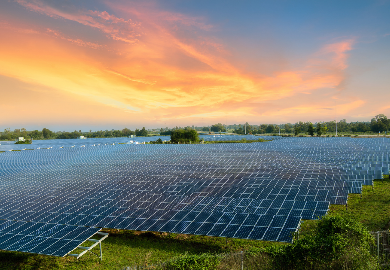 Coal India Issues Tender to Empanel Consultants for Solar Projects
