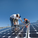 NTPC Floats O&M Tender for a 50 MW Solar Project in Madhya Pradesh