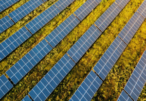 Rays Power Infra Sells Solar Projects Worth ₹7 Billion To Global Investors