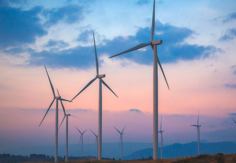 NTPC Invites Bids for 100 MW of Wind Projects in Madhya Pradesh