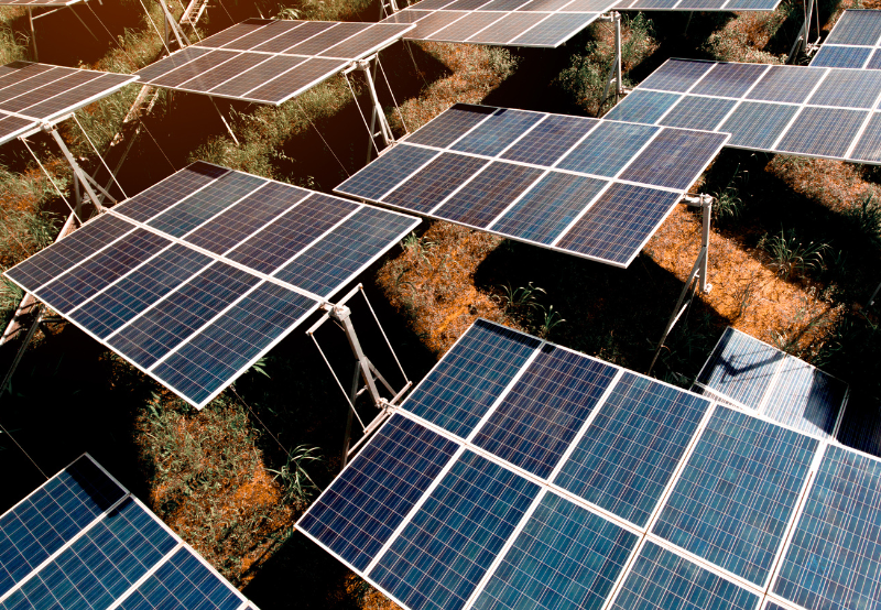 Tender Floated for 431 MW of Solar Projects Under the KUSUM Program in Maharashtra