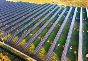 Bids Invited for 75 MW of Solar Projects in Uttar Pradesh