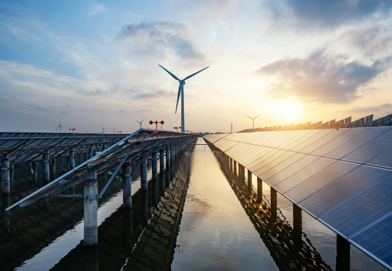 IKEA Acquires Solar Park and Wind Farm in Poland for $202 Million