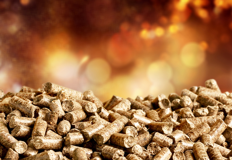 Co-firing of Biomass in 35 Thermal Power Plants Cuts Carbon Emissions by 100,000 Tons