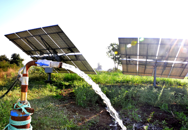 Rajasthan, Haryana, and Punjab Lead Solar Pump Installations Under PM-KUSUM Program