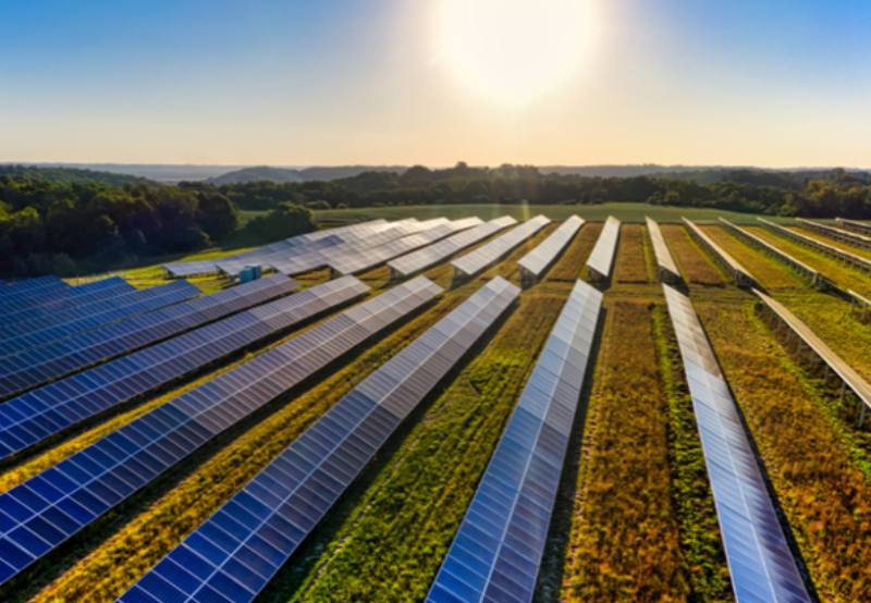 Project Finance Brief: Enfinity Global Raises $242 Million for Solar Projects in Japan