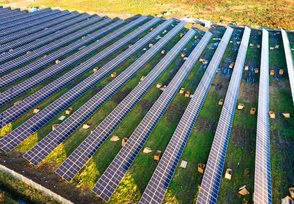 Renewable Capacity Growth Set to Double in Next Five Years: IEA
