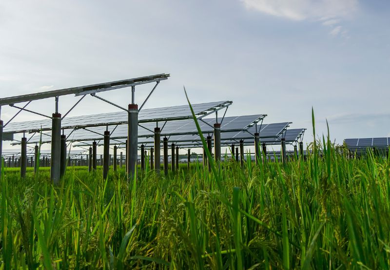 MSEDCL Invites Bids for 300 MW of Solar Power Under KUSUM Program