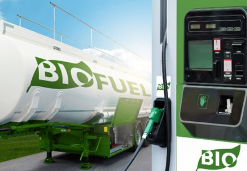 IIT Researchers Discover Enzyme that Breaks Down Biomass into Bioethanol Fuel