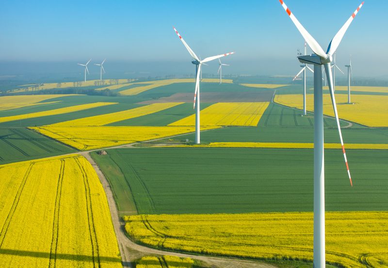 SJVN, Scatec India, and O2 Power Win SECI’s 1.2 GW Wind Tender