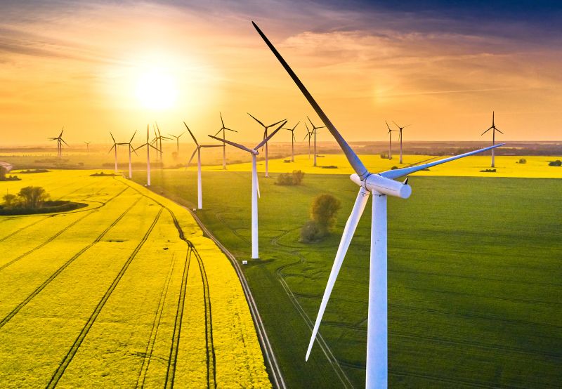 Top Wind Energy Tenders in 2022