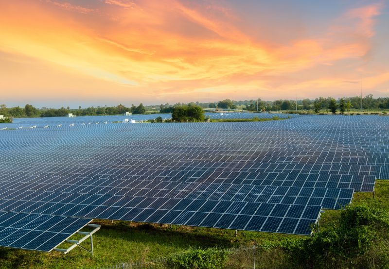 Bihar Regulator Approves Procurement of 600 MW Solar Power at ₹2.50/kWh