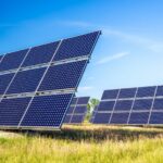 GUVNL Invites Bids for 500 MW Solar Projects with Greenshoe Option
